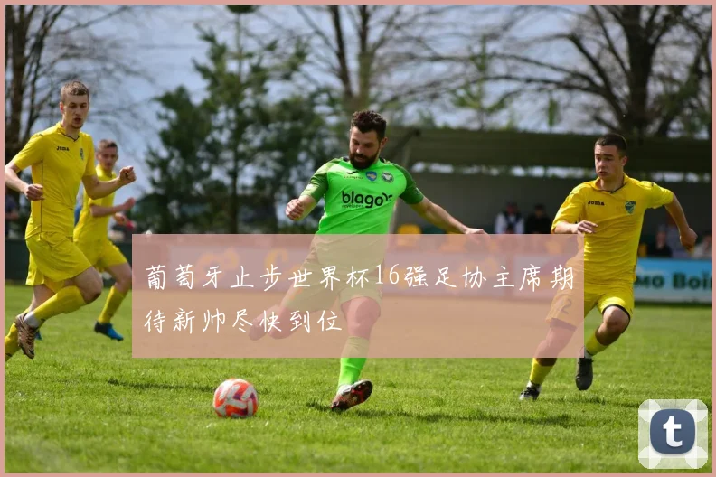 葡萄牙止步世界杯16强足协主席期待新帅尽快到位
