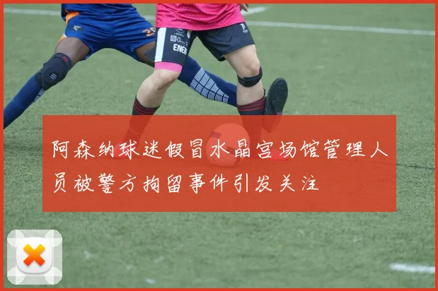 阿森纳球迷假冒水晶宫场馆管理人员被警方拘留事件引发关注